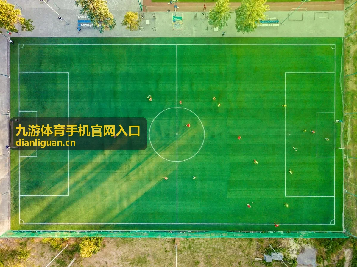 九游体育手机官网入口常见问题处理说明配图